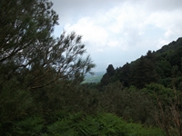 nte Rinatu-20110615 074